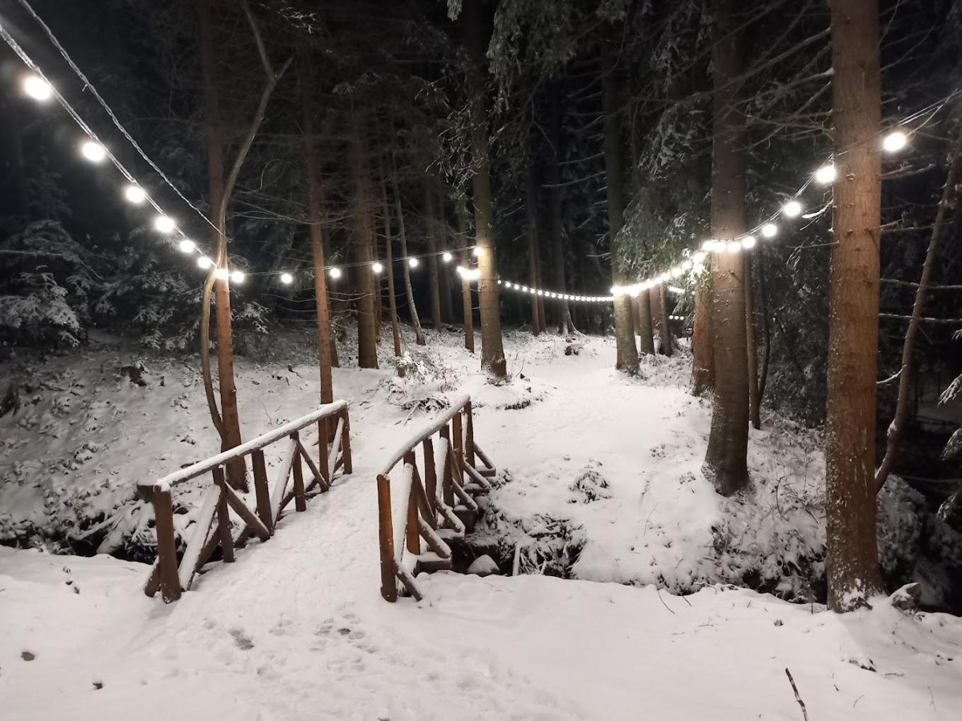 Mountain Studio Asp E63 Borovets Gardens Экстерьер фото